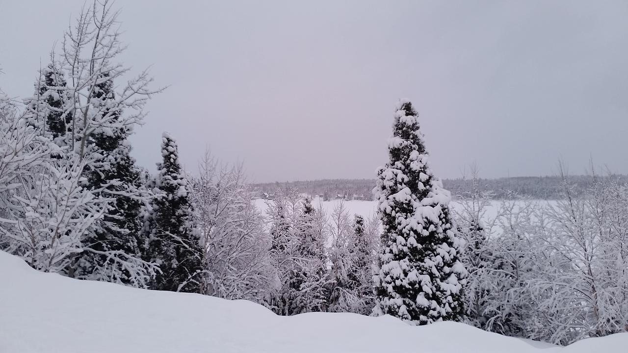 Residence Touristique Lodge Des Bois Saint-Félix-d'Otis Εξωτερικό φωτογραφία